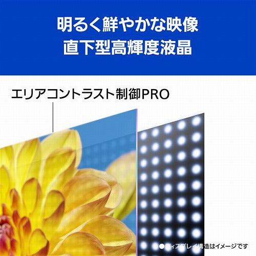 パナソニック 4K液晶テレビ 65V型 ビエラ TH-65MX800