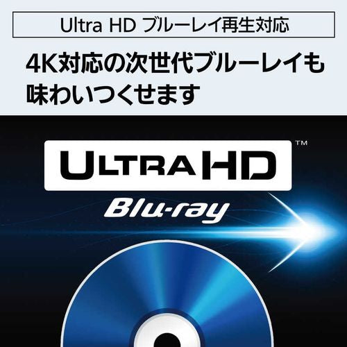 ブルーレイディスクレコーダー DIGA (ディーガ)［10TB /全自動録画対応 /BS・CS 4Kチューナー内蔵］ パナソニック DMR-4X1003