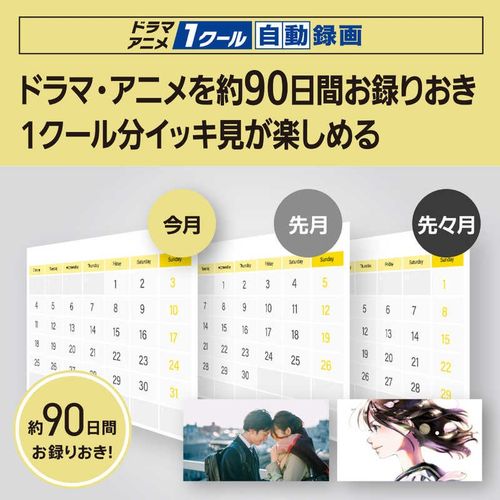 ブルーレイディスクレコーダー DIGA (ディーガ)［3TB /全自動録画対応 /BS・CS 4Kチューナー内蔵］ パナソニック DMR-2X303