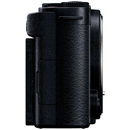 デジタル一眼カメラ 高倍率ズームレンズキット ダークシルバー パナソニック DC-S9H-S