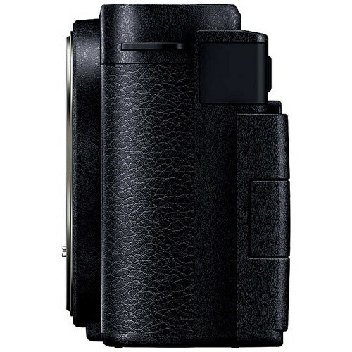 デジタル一眼カメラ 高倍率ズームレンズキット ダークシルバー パナソニック DC-S9H-S