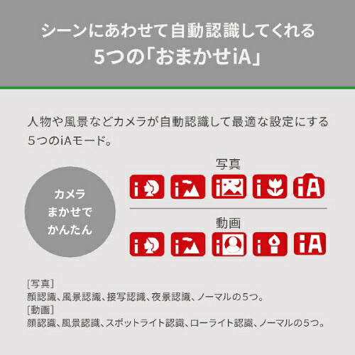 デジタル4Kビデオカメラ レザーブラック パナソニック HC-VX3-K