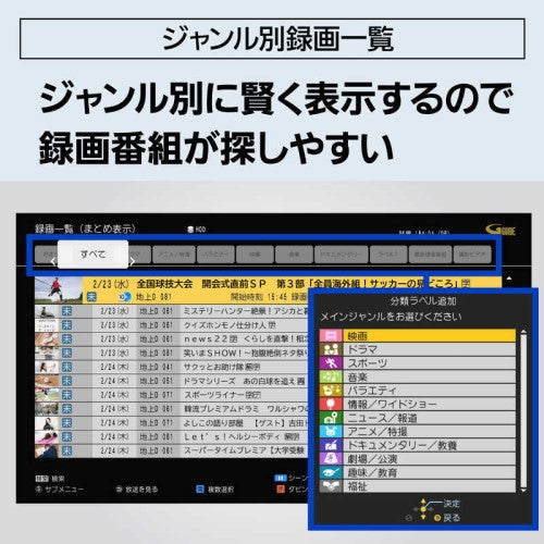 ブルーレイレコーダー DIGA(ディーガ) ［2TB /2番組同時録画］ パナソニック DMR-2W203