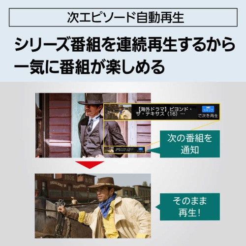 ブルーレイレコーダー DIGA(ディーガ) ［2TB /2番組同時録画］ パナソニック DMR-2W203