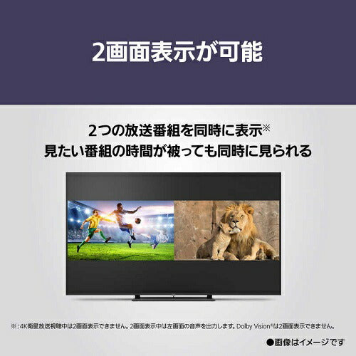 4K液晶 テレビ VIERA ビエラ  液晶最上位モデル Fire TV ミニLEDバックライト搭載 55V型 パナソニック TV-55W95B