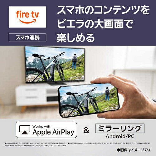 4K液晶 テレビ VIERA ビエラ  液晶ハイグレードモデル Fire TV搭載 65V型 パナソニック TV-65W90B