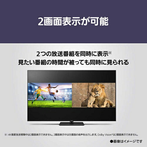 4K液晶 テレビ VIERA ビエラ  液晶ハイグレードモデル Fire TV搭載 43V型 パナソニック TV-43W90B