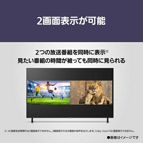 4K液晶 テレビ VIERA ビエラ  液晶スタンダードモデル Fire TV搭載 43V型 パナソニック TV-43W80B