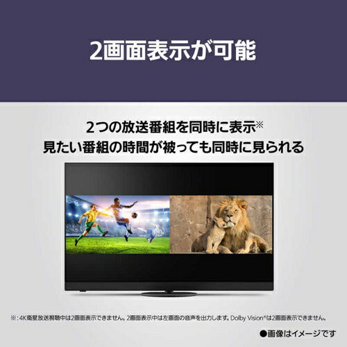 テレビ 65V型 4K VIERA 有機EL ハイグレードモデル Fire TV搭載 パナソニック TV-65Z90B