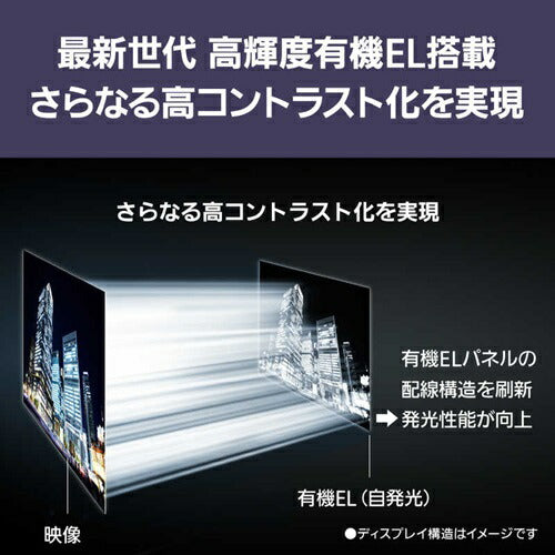 テレビ 65V型 4K VIERA 有機EL ハイグレードモデル Fire TV搭載 パナソニック TV-65Z90B