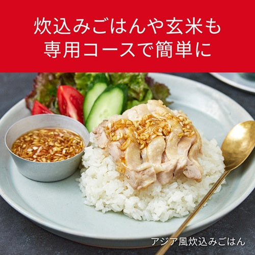 可変圧力IHジャー炊飯器 Bistro（ビストロ）X9Dシリーズ ライトグレージュ 炊飯容量:1升 パナソニック SR-X918D-H