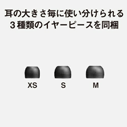 イヤホン 有線 USB type-C ステレオインサイドホン パナソニック RP-HJE150C-K ブラック 軽量 マイク付き オンライン会議 語学学習