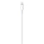 USB-C - Lightningケーブル 充電 転送 1m Apple MUQ93FE/A