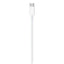 USB-C - Lightningケーブル 充電 転送 1m Apple MUQ93FE/A