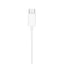 EarPods（USB-C） Apple MYQY3FE/A