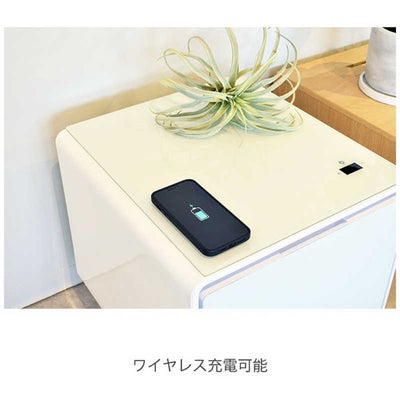 LOOZER ルーザー スマートテーブル 冷蔵庫付 STB30 アプリコットサファイア