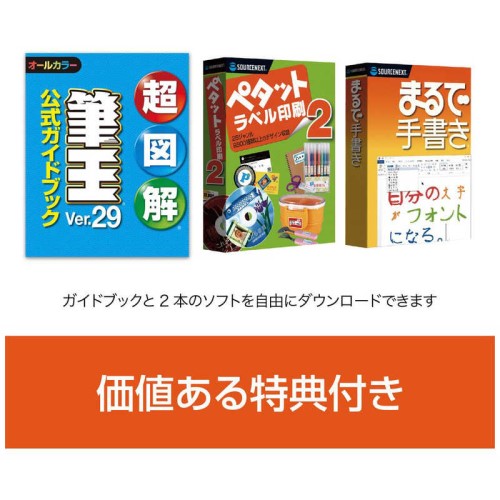 筆王Ver.29 ソースネクスト ﾌﾃﾞｵｳﾊﾞ-ｼﾞｮﾝ29