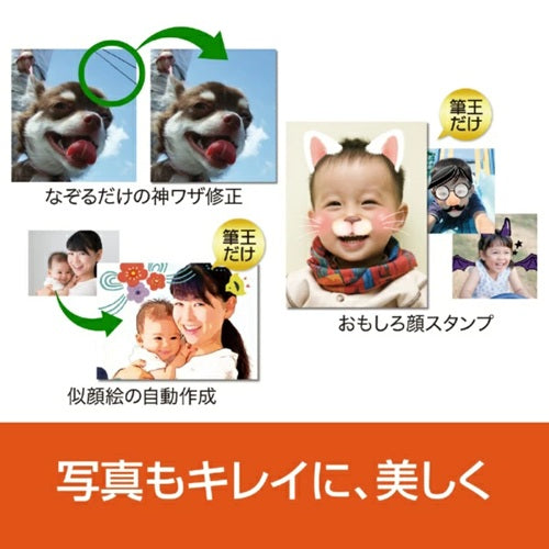 年賀状・住所録ソフト 筆王Ver.30 ソースネクスト ﾌﾃﾞｵｳﾊﾞｰｼﾞｮﾝ30