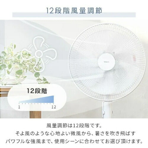 ヤマゼン YAMAZEN リビング扇風機 DCモーター YHX-BED352(W) 35cm
