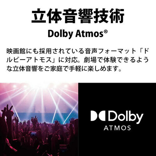 テレビ 65型 AQUOS アクオス シャープ 4T-C65GL1 液晶テレビ 65V型 4K対応 65インチ GL1ライン 低反射パネル ネット動画 音声操作