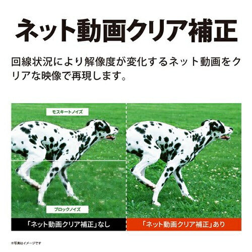 液晶テレビ 55V型 4Kチューナー内蔵 AQUOS 4K GL1ライン シャープ 4T-C55GL1