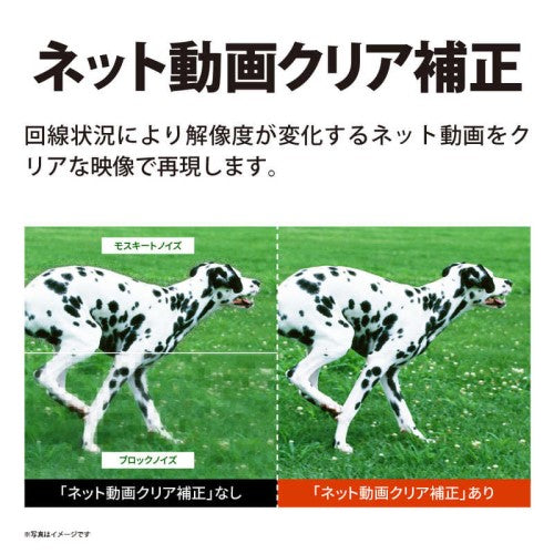 液晶テレビ AQUOS ( アクオス ) GF1ライン［32V型 /フルハイビジョン /YouTube対応］ シャープ 2T-C32GF1