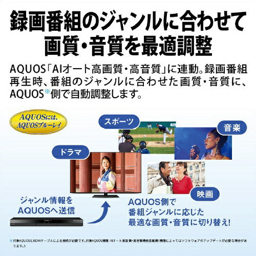 ブルーレイディスクレコーダー AQUOS ブルーレイ 2B-GT1シリーズ 3番組同時録画タイプ HDD：2TB SHARP 2B-C20GT1