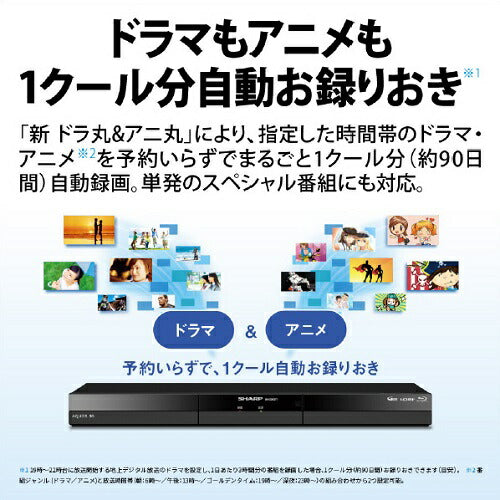 ブルーレイディスクレコーダー AQUOS ブルーレイ 2B-GW1シリーズ 2番組同時録画タイプ HDD：2TB SHARP 2B-C20GW1