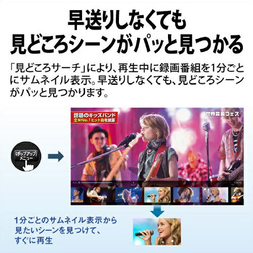 ブルーレイディスクレコーダー AQUOS ブルーレイ 2B-GW1シリーズ 2番組