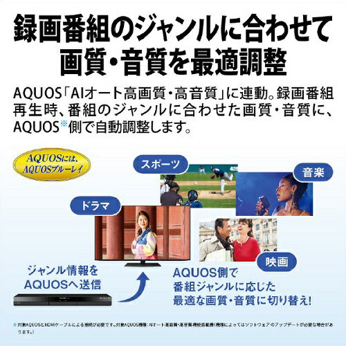 ブルーレイディスクレコーダー AQUOS ブルーレイ 2B-GW1シリーズ 2番組同時録画タイプ HDD：1TB SHARP 2B-C10GW1