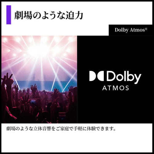 有機ELテレビ AQUOS OLED HQ2ライン 65V型 シャープ 4T-C65HQ2