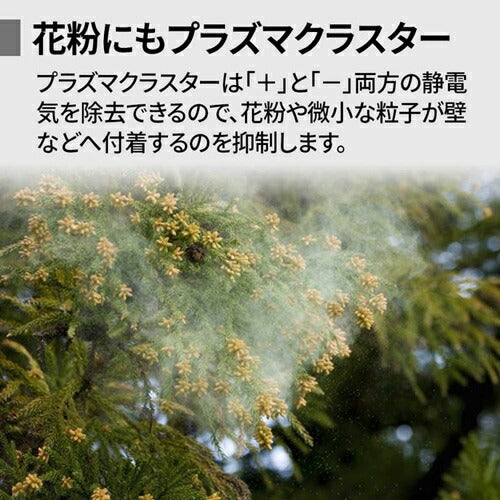 空気清浄機 シャープ KC-U50-W ホワイト系 加湿 プラズマクラスター 7000 花粉対策 風邪対策 脱臭