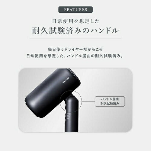 ディンプルフロードライヤー アッシュブラック シャープ IB-P300-B
