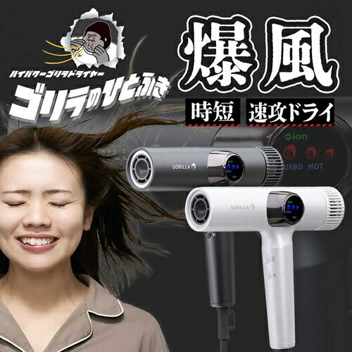 DOSHISHA ドウシシャ ハイパーゴリラドライヤー GRD-2501GY グレー