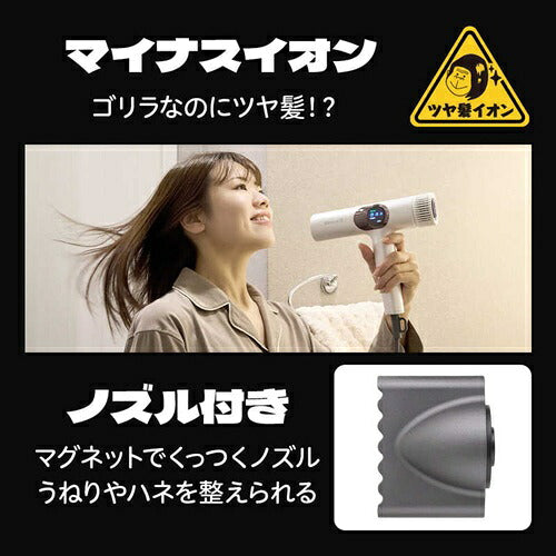 DOSHISHA ドウシシャ ハイパーゴリラドライヤー GRD-2501GY グレー