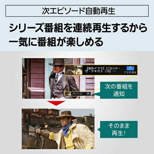 ブルーレイディスクレコーダー 3TB 4Kチューナー内蔵ディーガ パナソニック DMR-4T305