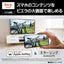 Panasonic パナソニック 4K液晶テレビ VIERA 43V型 TV-43W80C