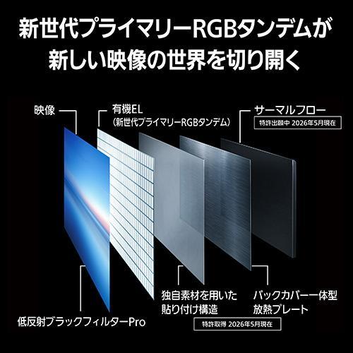 Panasonic パナソニック 4K有機ELテレビ VIERA 55V型 TV-55Z95C