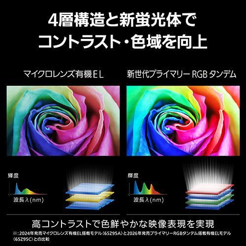 Panasonic パナソニック 4K有機ELテレビ VIERA 55V型 TV-55Z95C