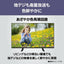 Panasonic パナソニック 液晶テレビ VIERA TV-24N50C 24V型 ハイビジョン