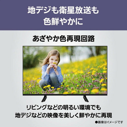 Panasonic パナソニック 液晶テレビ VIERA TV-24N50C 24V型 ハイビジョン