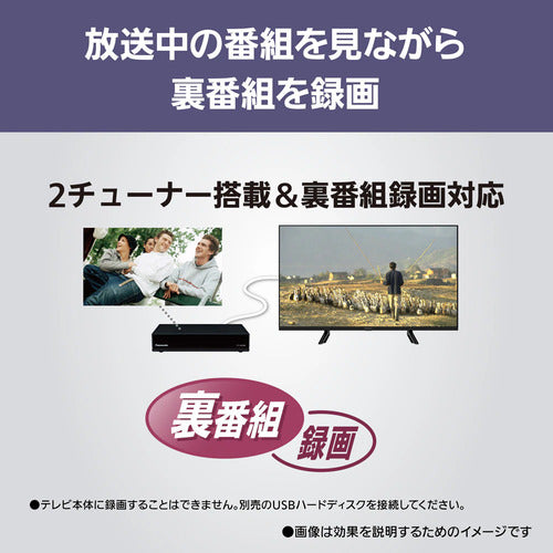 Panasonic パナソニック 液晶テレビ VIERA TV-24N50C 24V型 ハイビジョン
