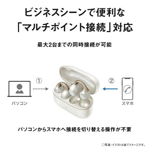 Panasonic パナソニック 完全ワイヤレスイヤホン RB-C10-K ブラック