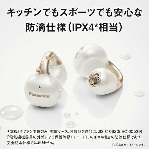 Panasonic パナソニック 完全ワイヤレスイヤホン RB-C10-K ブラック