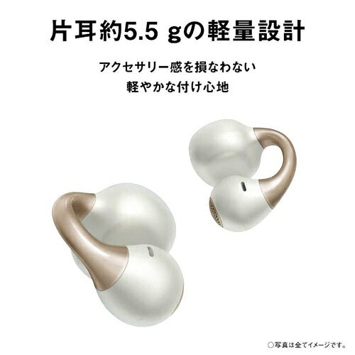 Panasonic パナソニック 完全ワイヤレスイヤホン RB-C10-K ブラック
