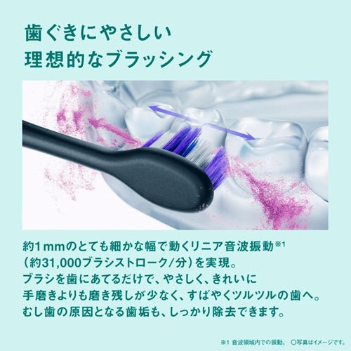 Panasonic パナソニック 音波振動ハブラシ ドルツ EW-DA49-K ブラック