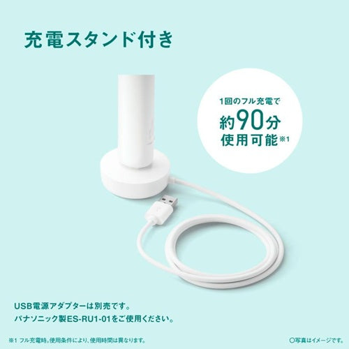 Panasonic パナソニック 音波振動ハブラシ ドルツ EW-DA19-W ホワイト