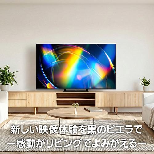 Panasonic パナソニック 4K液晶テレビ VIERA 65V型 TV-65W95C