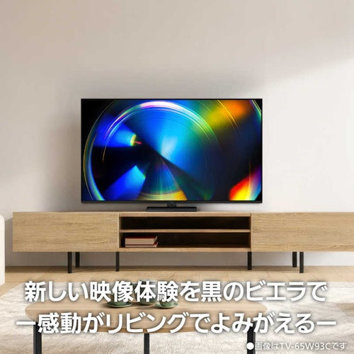 Panasonic パナソニック 55V型 4K液晶テレビ ビエラ TV-55W93C