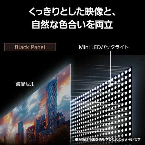 Panasonic パナソニック 55V型 4K液晶テレビ ビエラ TV-55W93C